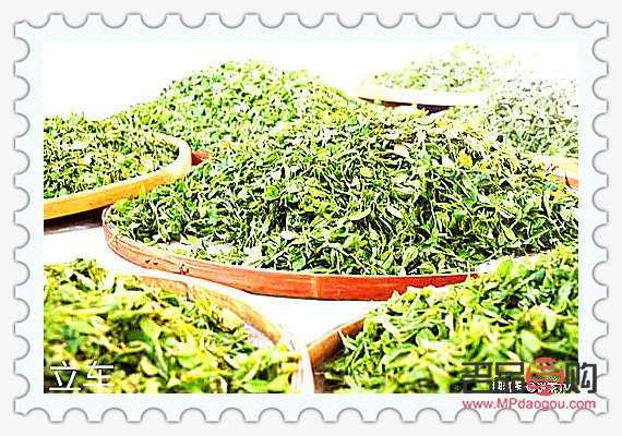 <h3>美容茶的制作与功效</h3>