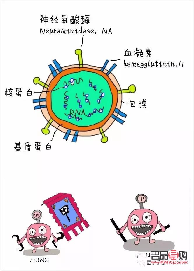 <h3>身体感染护理全攻略</h3>