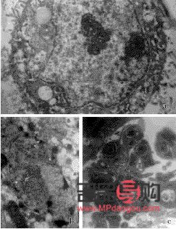 美容凝胶使用全攻略