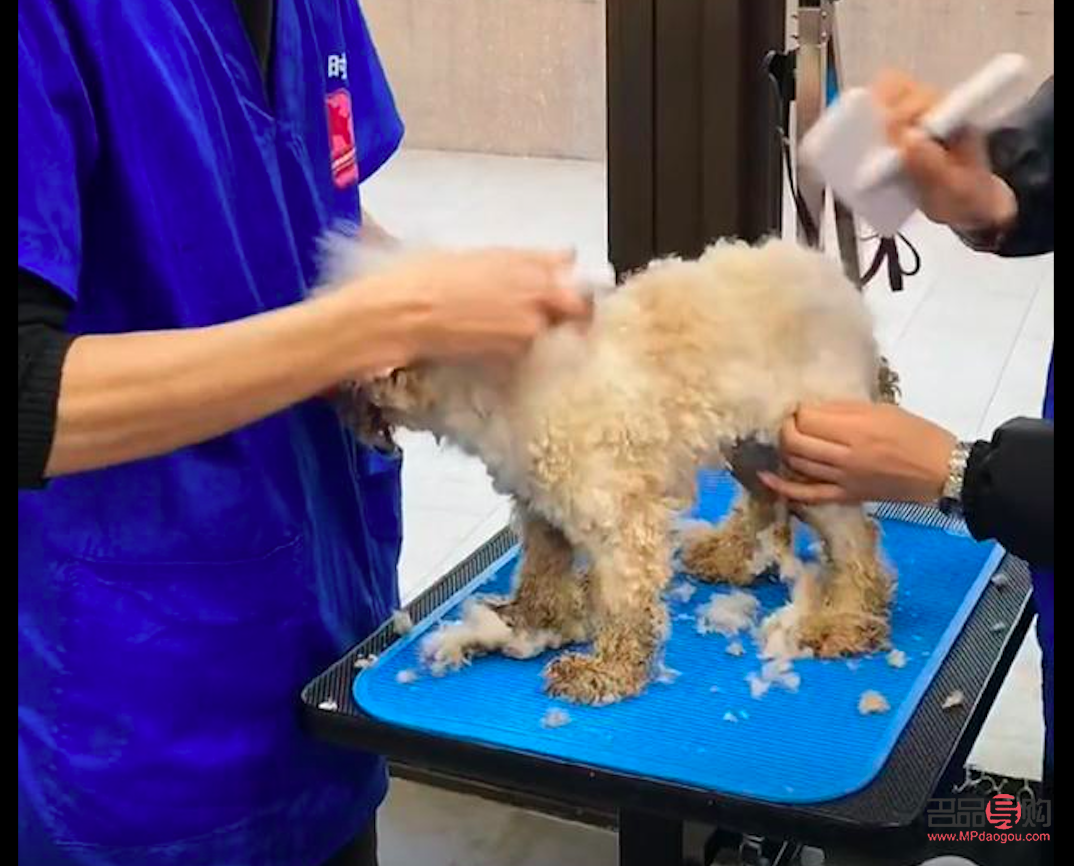 洗澡会美容吗(洗澡会美容吗) 洗澡会美容吗(洗澡会美容吗)