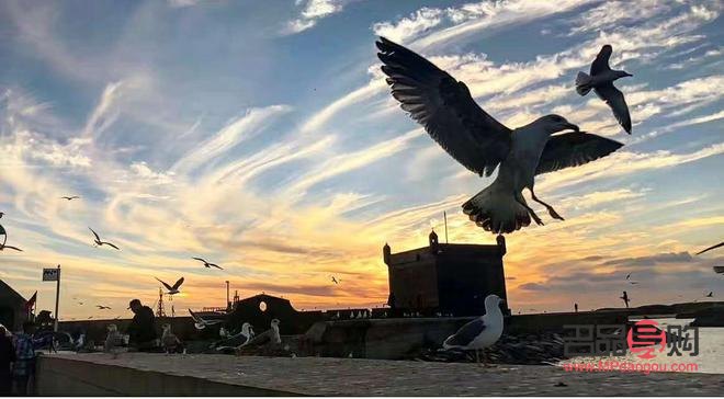 <h1>如何成功开设美容店</h1> <h1>如何成功开设美容店</h1>