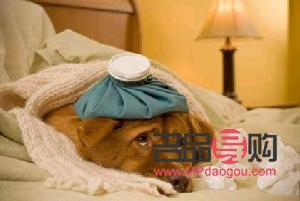 <h3>流感发烧全面护理指南：从预防到康复</h3>