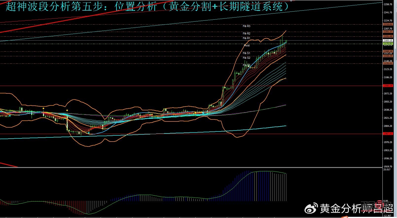 黄金投资分析师(黄金市场行情分析)