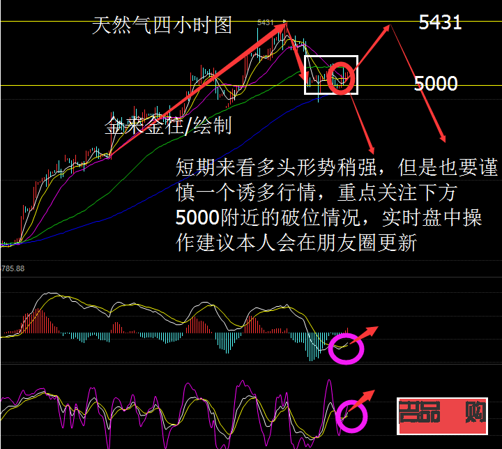 今日黄金市场动态与行情分析