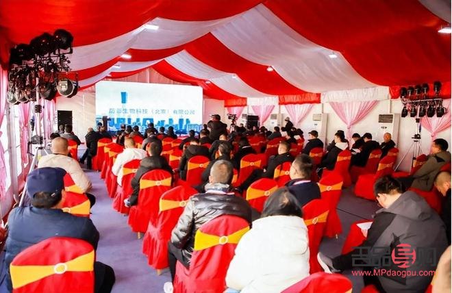 <h3>身体湿热，如何有效护理？</h3>