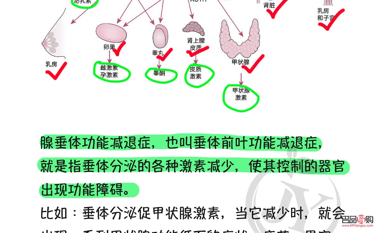 <h3>激素治疗下的身体护理之道</h3>