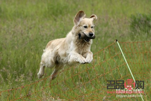 学美容是为了什么(学美容是为了什么呢) 学美容是为了什么(学美容是为了什么呢)