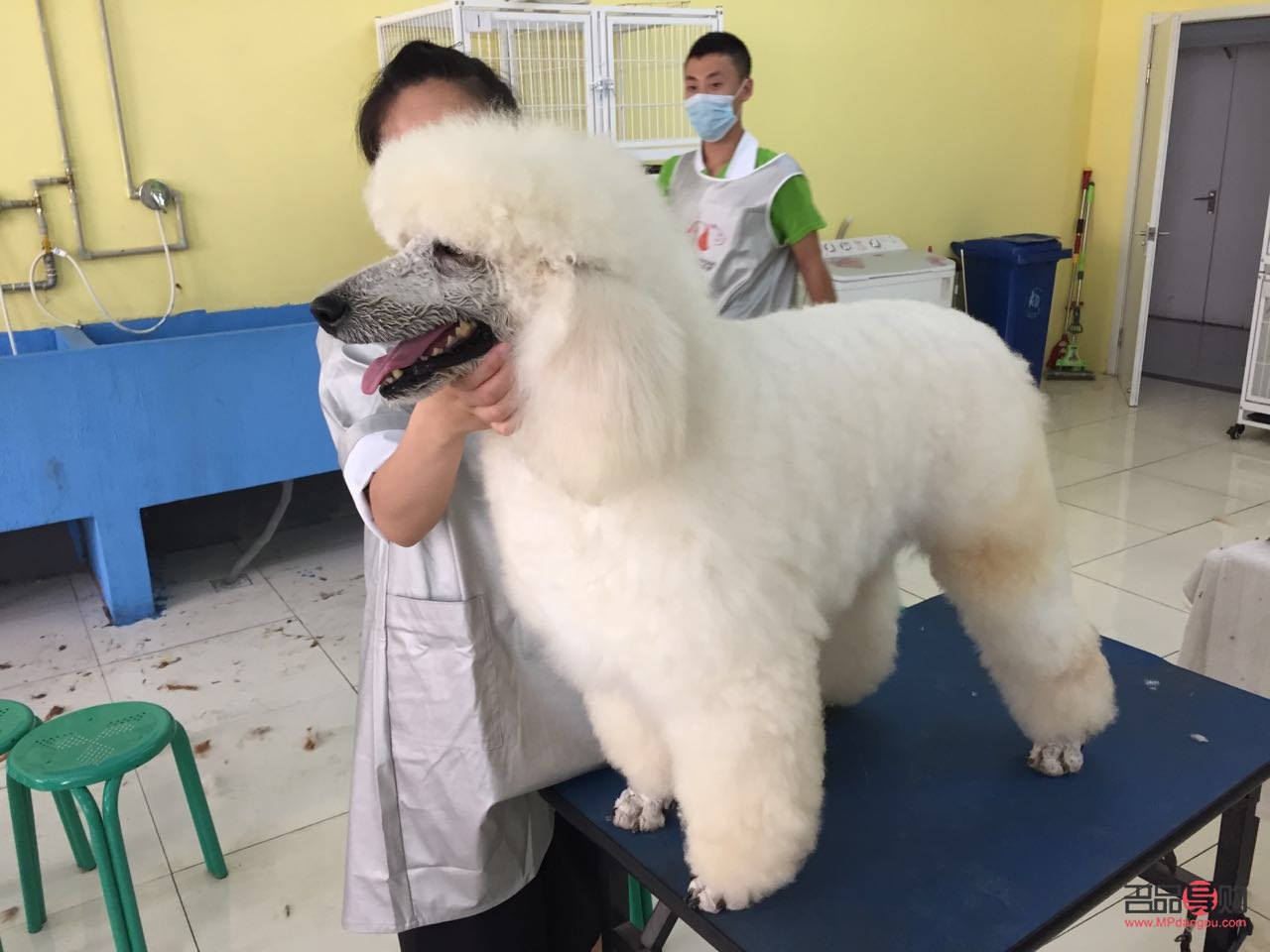 美容业有哪些职业(美容业有哪些职业类型) 美容业有哪些职业(美容业有哪些职业类型)