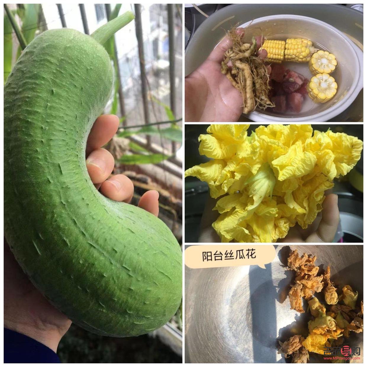 茶水可以美容吗(茶水可以美容吗女性)