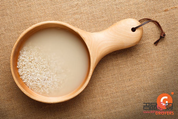 大米水美容吗(大米水可以美白吗) 大米水美容吗(大米水可以美白吗)