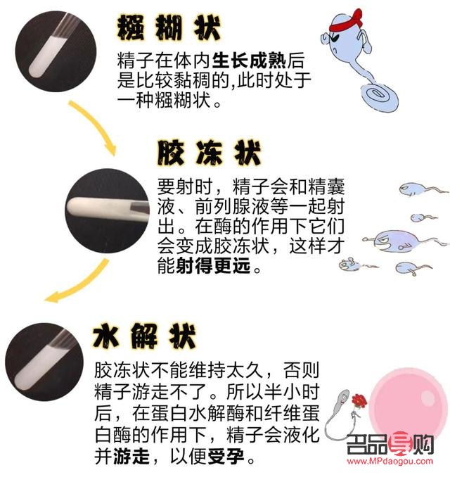 男子的精子美容吗