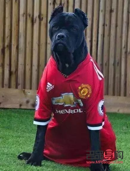 彩妆展示视频制作指南