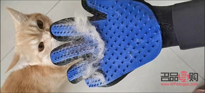 美道家美容怎么样(美道家美容怎么样啊) 美道家美容怎么样(美道家美容怎么样啊)