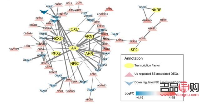 <h3>秋天美容饮食指南:滋养肌肤,吃出美丽光彩</h3> <h3>秋天美容饮食指南:滋养肌肤,吃出美丽光彩</h3>