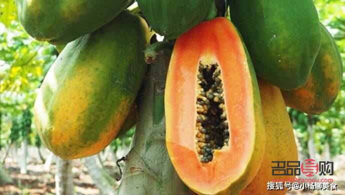 如何用木瓜美容(如何用木瓜美容祛斑)