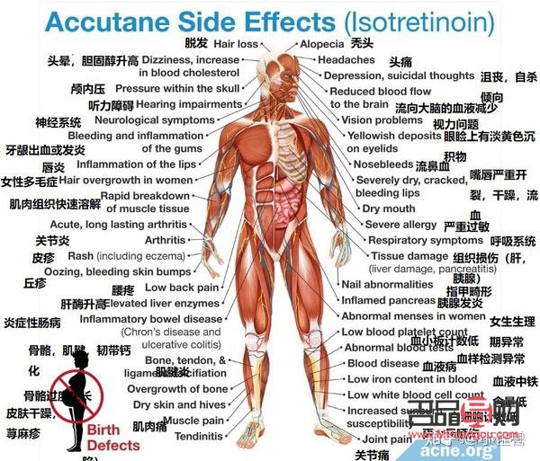 <h1>人体各部位护理指南</h1>