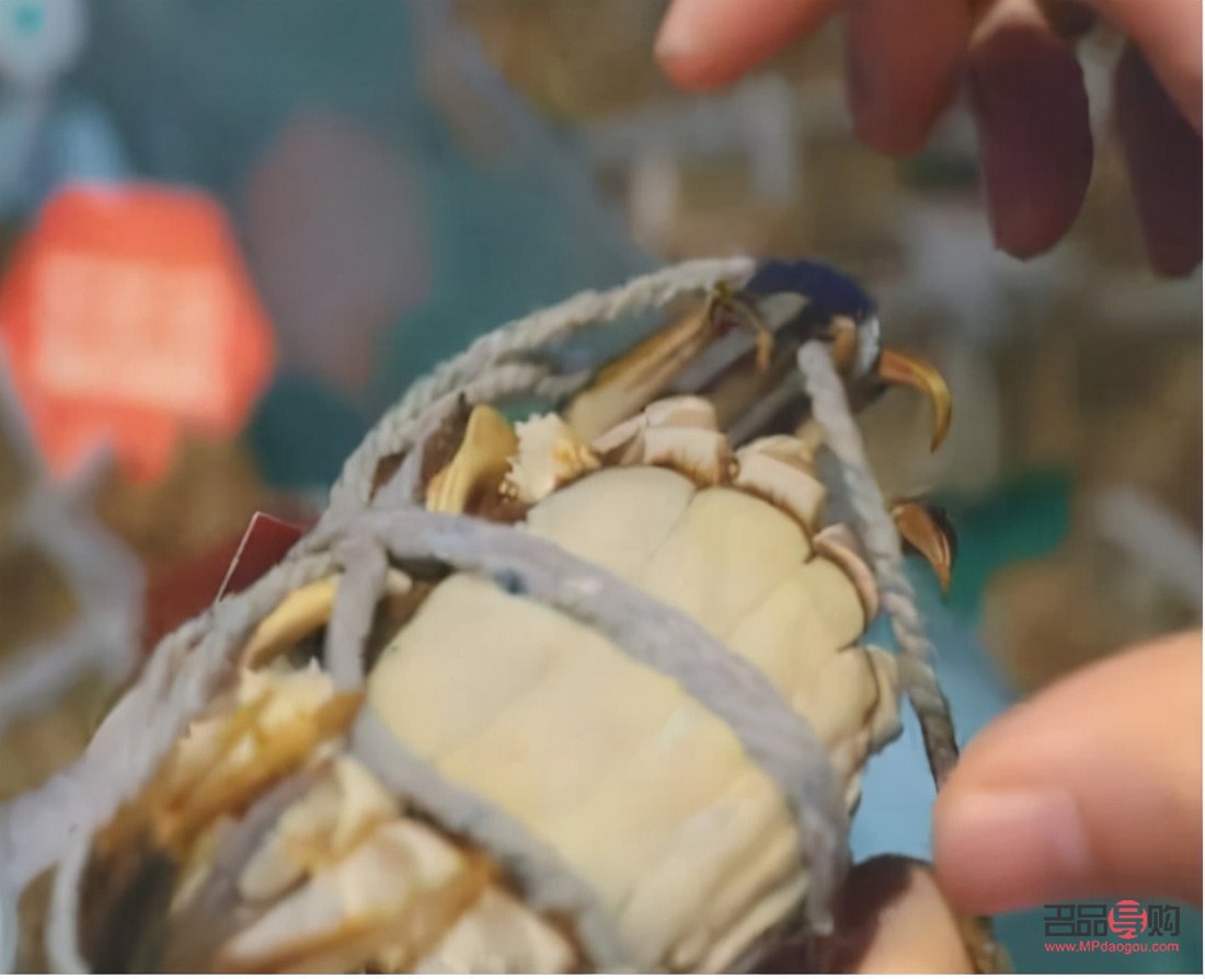 黄金期货交易中的重量查询指南 黄金期货交易中的重量查询指南