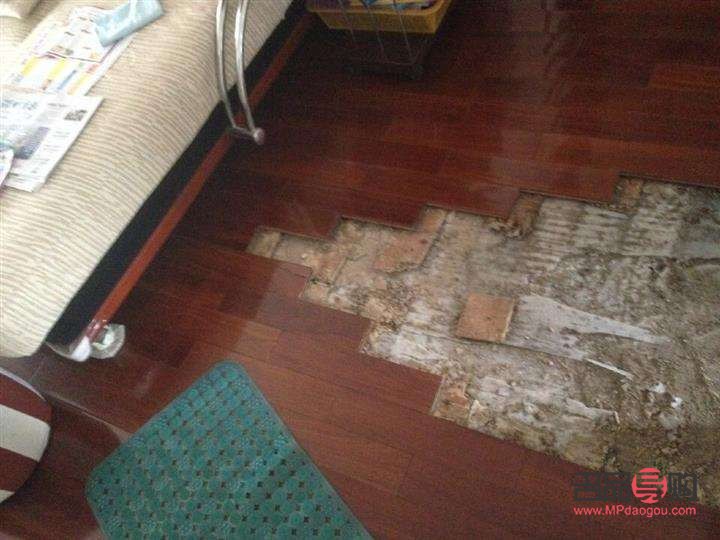 <h3>地板破损美容修复全攻略</h3>