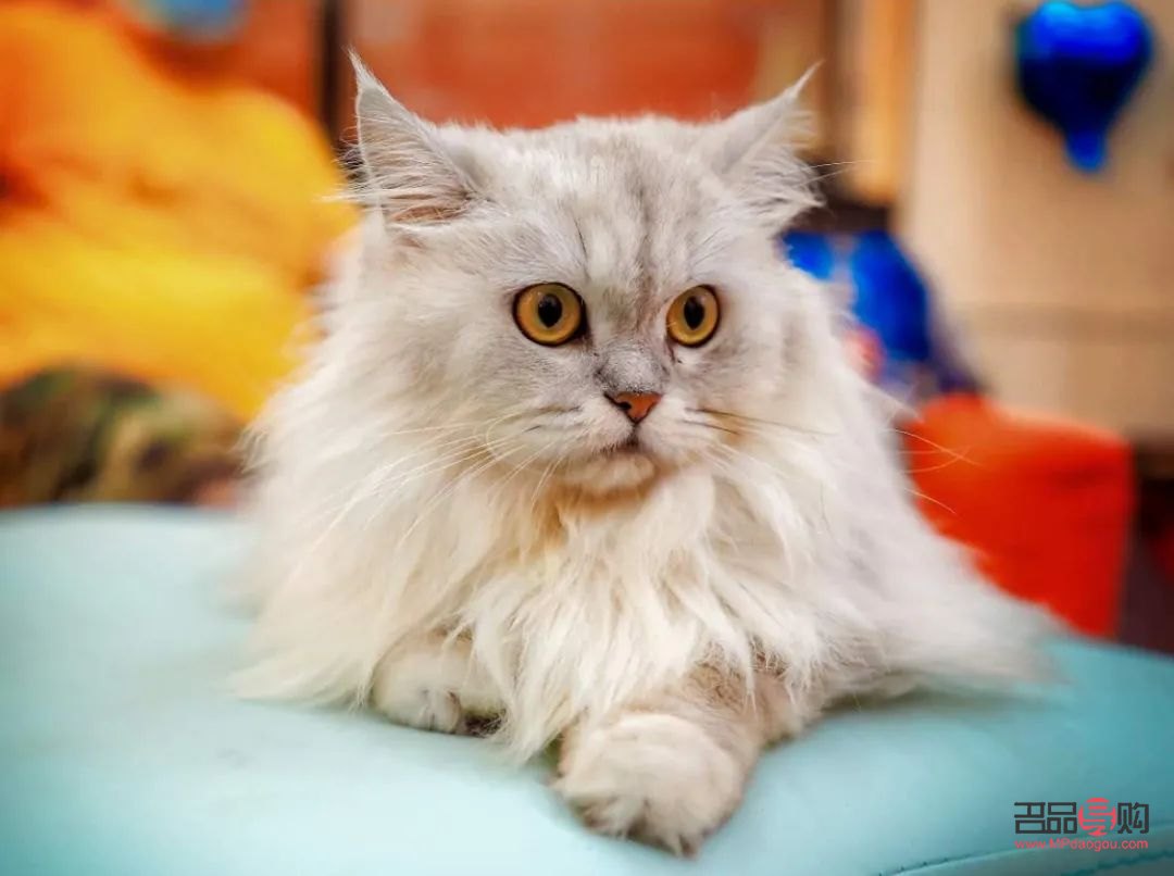 身体护理套餐是什么样(身体护理套餐是什么样的)