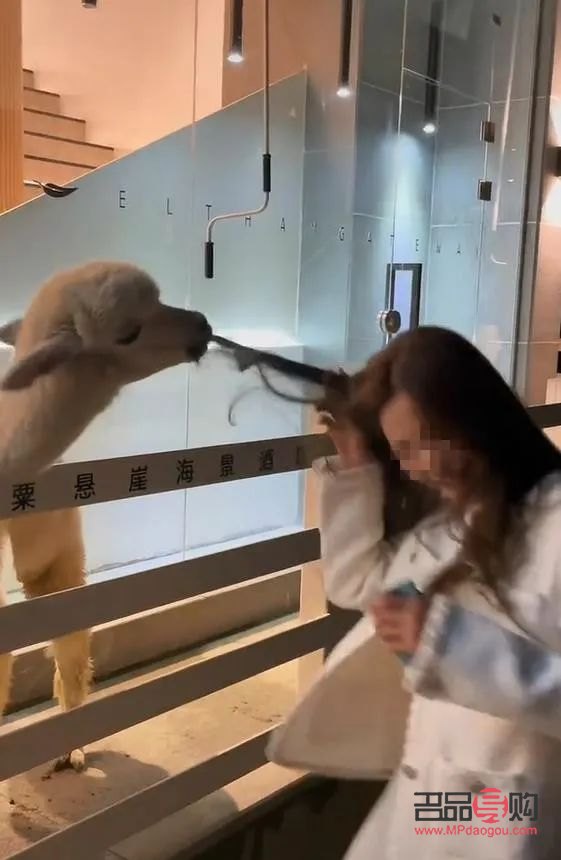 怎么保养身体护理文案(怎么保养身体护理文案句子)