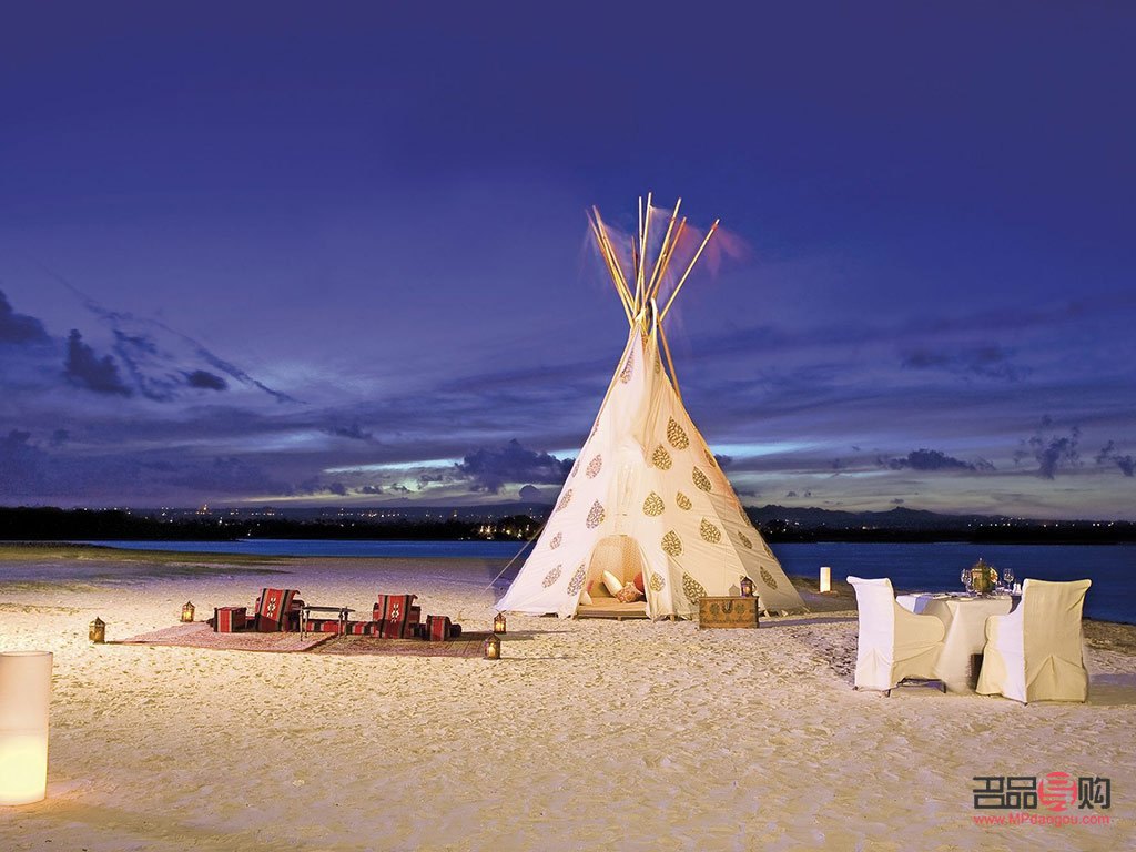 <h3>马产驹后身体护理全攻略</h3>