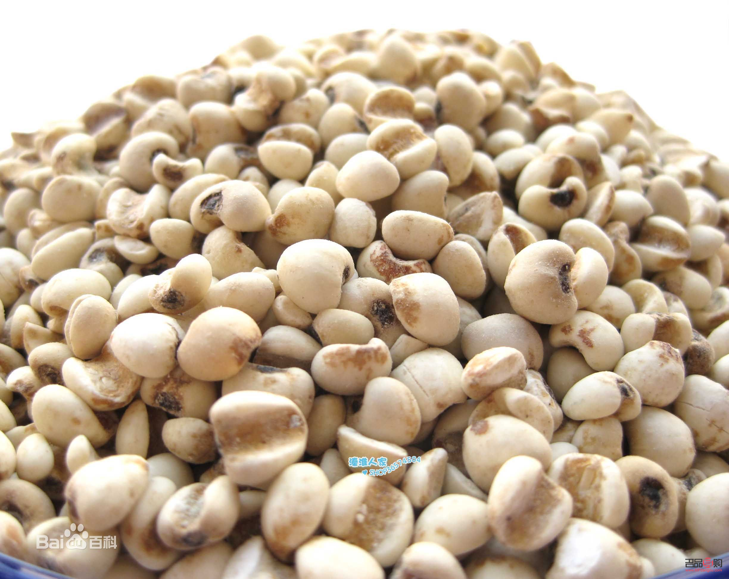 <h3>薏仁米的美容奥秘</h3> <h3>薏仁米的美容奥秘</h3>