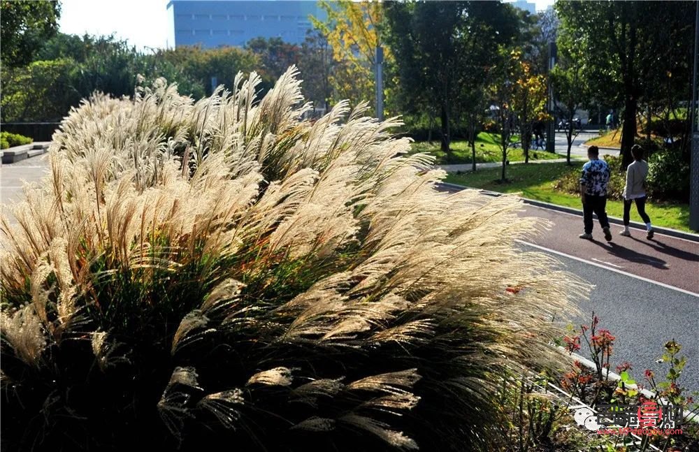 深秋彩妆怎么画(深秋彩妆怎么画好看) 深秋彩妆怎么画(深秋彩妆怎么画好看)