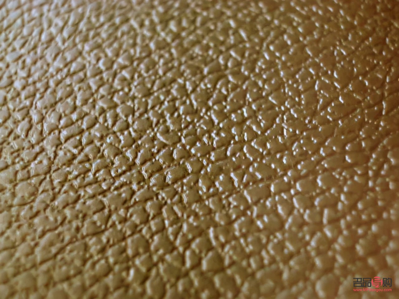 如何对鸵鸟护理好身体(如何对鸵鸟护理好身体健康) 如何对鸵鸟护理好身体(如何对鸵鸟护理好身体健康)