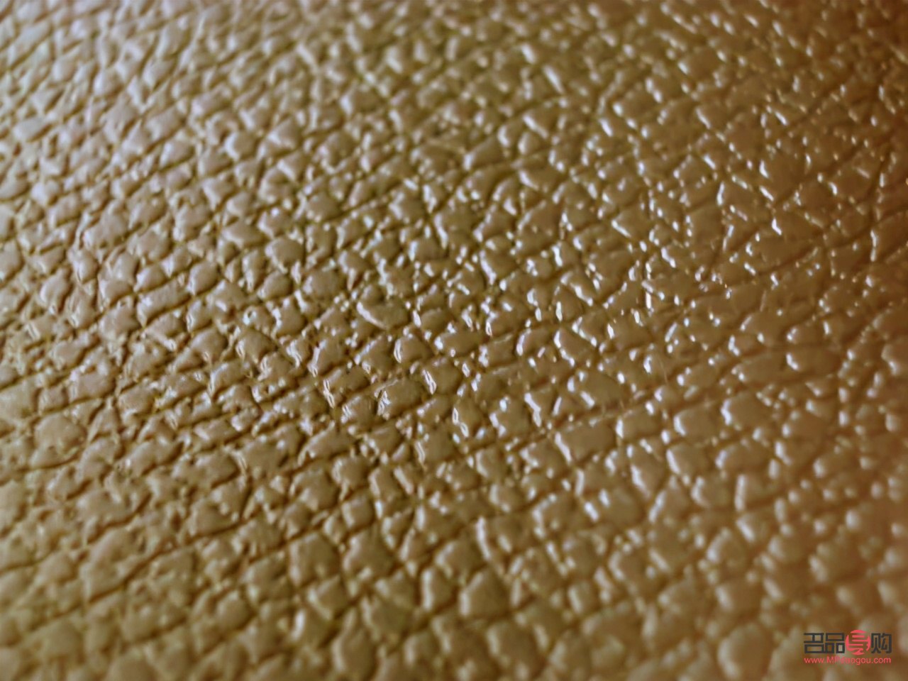 如何对鸵鸟护理好身体(如何对鸵鸟护理好身体健康) 如何对鸵鸟护理好身体(如何对鸵鸟护理好身体健康)