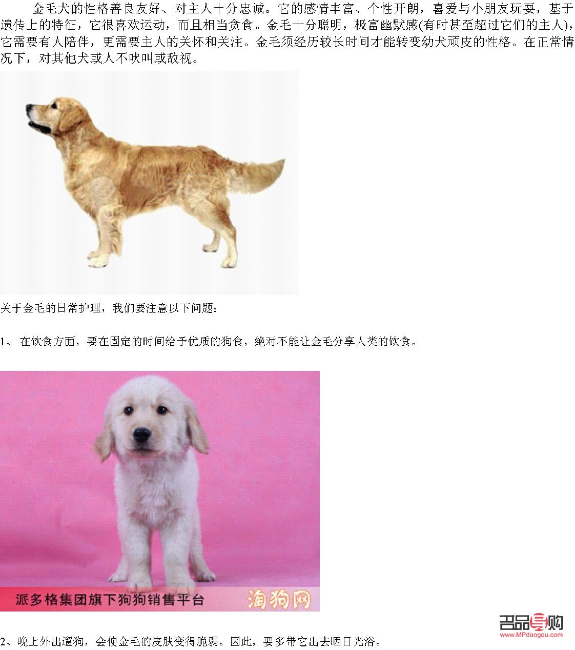 <h3>金毛护理身体全攻略</h3>