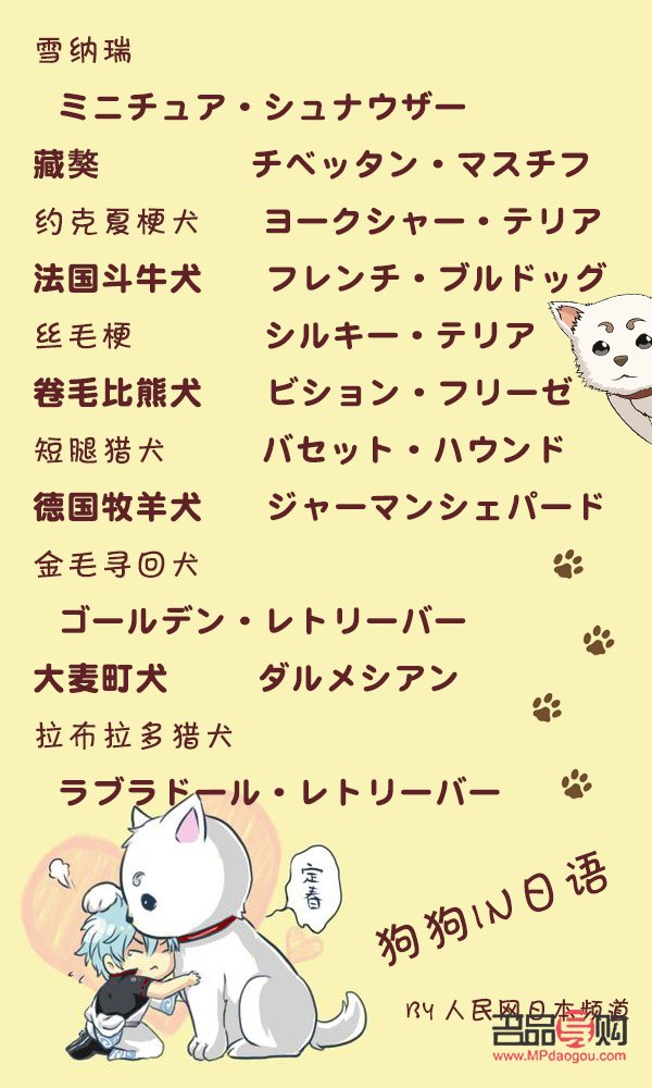 <h3>犬美容日语怎么说？学习犬美容专业术语与实用表达</h3>