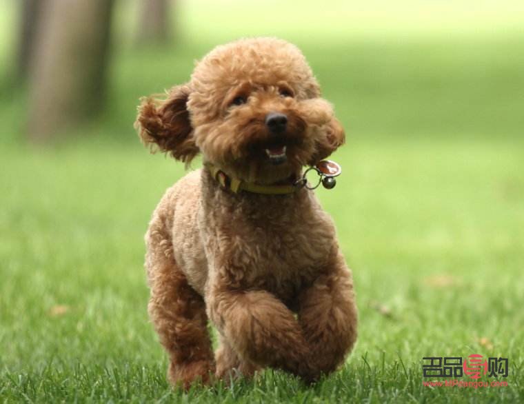 美容院信得过吗(美容院能相信吗) 美容院信得过吗(美容院能相信吗)