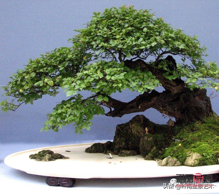 <h1>全面解析身体护理的方方面面</h1>