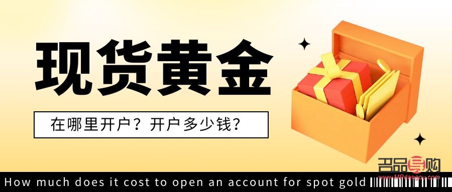 <h3>黄金投资开户指南</h3>