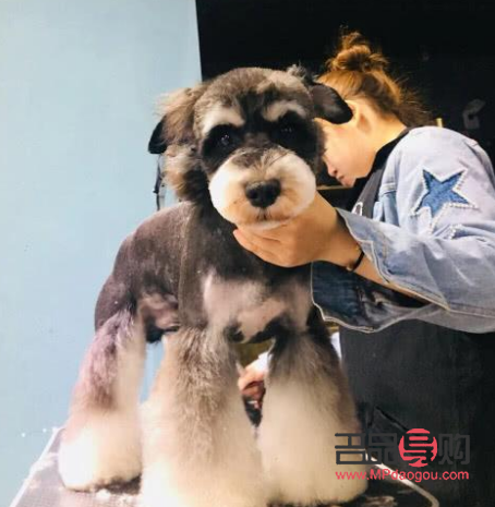 美容学习去哪里学(美容在哪学) 美容学习去哪里学(美容在哪学)