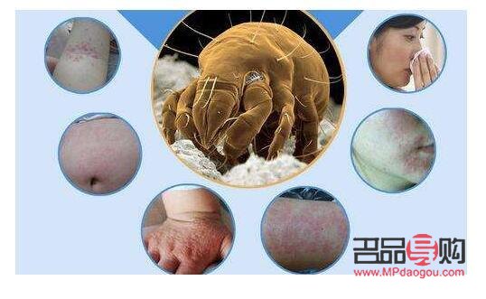 做美容去螨虫吗(做美容去螨虫吗有效果吗)