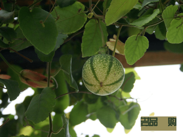 现在学美容好吗(现在学美容好吗女生) 现在学美容好吗(现在学美容好吗女生)