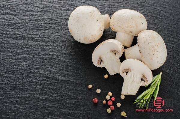 美容蘑菇是啥蘑菇(美容蘑菇是啥蘑菇呀)