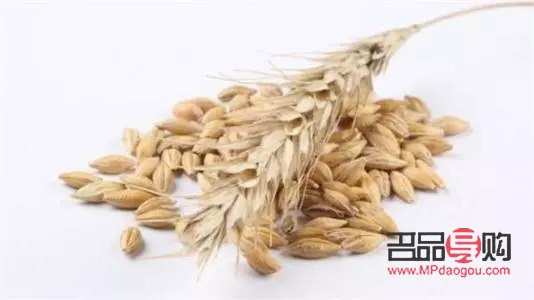 吃燕麦美容吗(吃燕麦美容吗会胖吗)