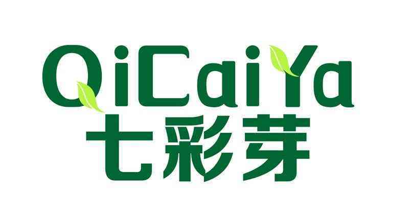 有什么品牌童装加盟