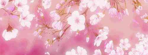 桃花牌化妆品多少钱一盒(桃花牌化妆品多少钱一盒啊)