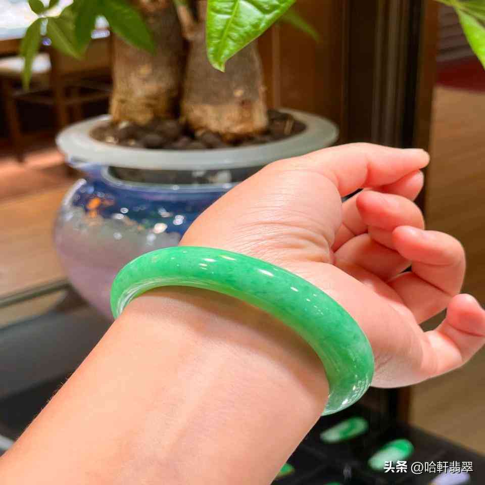 玉髓手镯多少钱一克(一只玉髓镯子的价格)