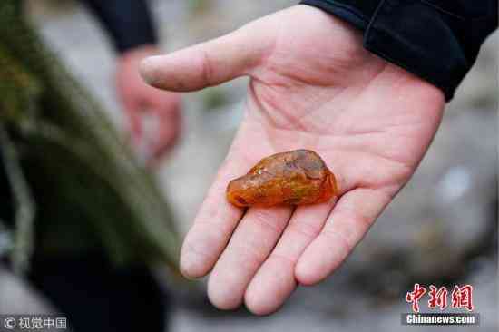 真正的天然琥珀多少钱(天然琥珀什么价)