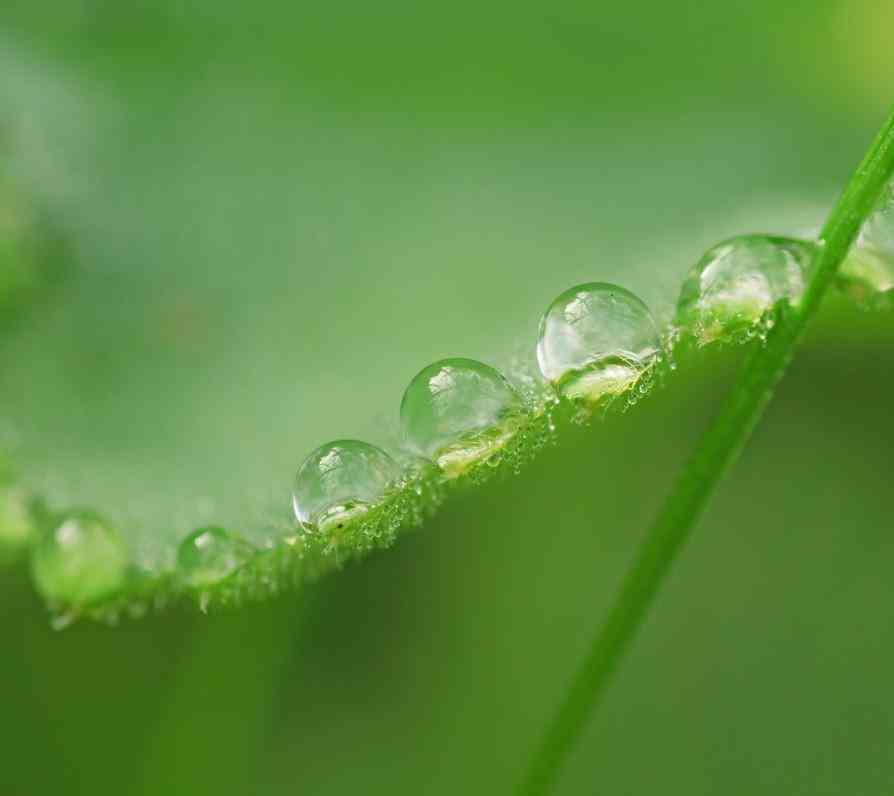 翡翠怎么鉴定好坏(翡翠怎么鉴定好坏视频)