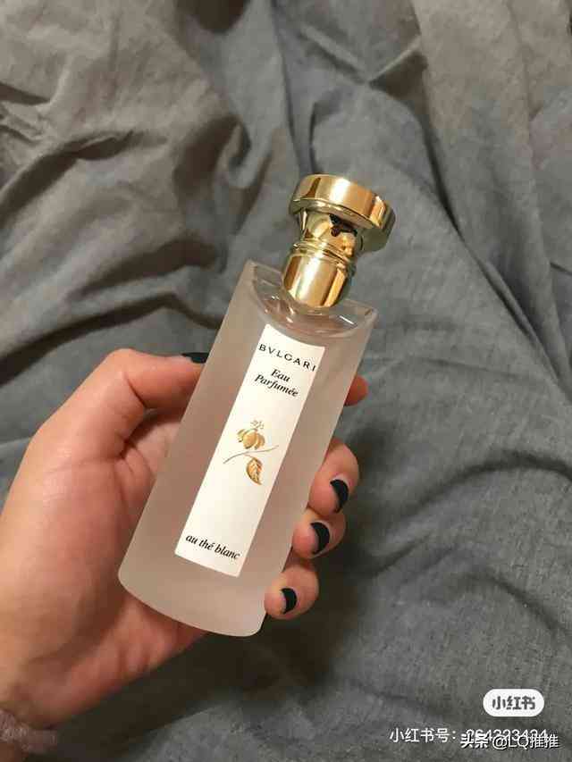 宝格丽香水哪款好闻(宝格丽香水哪个味道好闻)