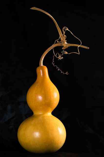 什么手串最有灵性(十大灵性手串排名)