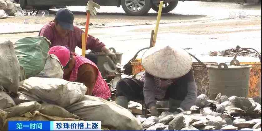 珍珠的价格(珍珠贵吗)