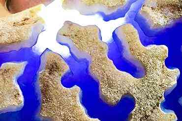 缅甸翡翠原石矿区的十大名坑(缅甸翡翠原石矿区的十大名坑在哪里)