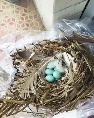 蒂芙尼蓝rgb(蒂芙尼蓝rgb色值)插图1