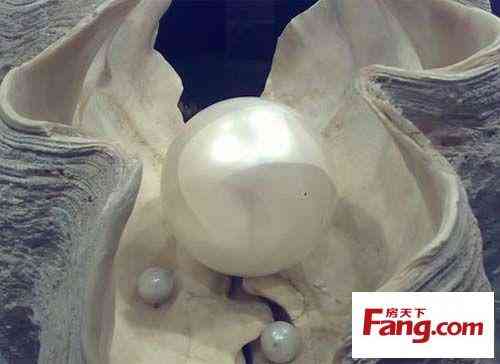 珍珠在风水上的作用(真假珍珠的10种鉴别方法)插图9 珍珠在风水上的作用(真假珍珠的10种鉴别方法)插图9